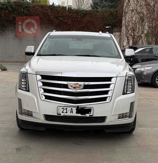 كاديلاك اسكاليد 2017 للبيع في العراق - السليمانية